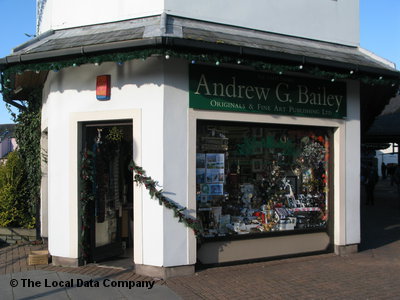 Andrew G Bailey