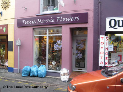Tussie Mussie Flowers