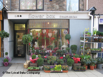 The Flower Box